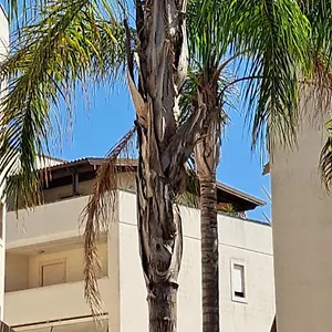  Appartamento Un Di Casa Italia